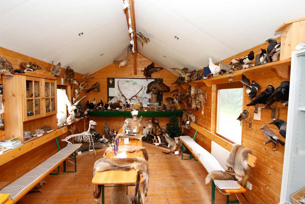 Die Jagdhütte auf dem Ferienhof Langballig